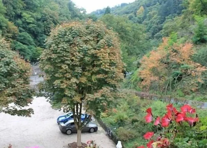 فندق Winneburg 3*